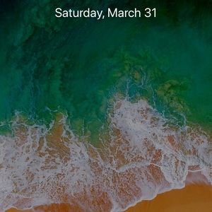 Meet your Posher, Oscar